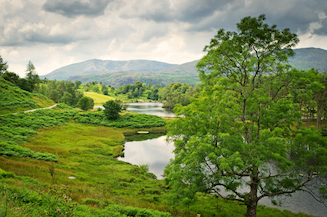 iStock-476442881, Tarn Hows